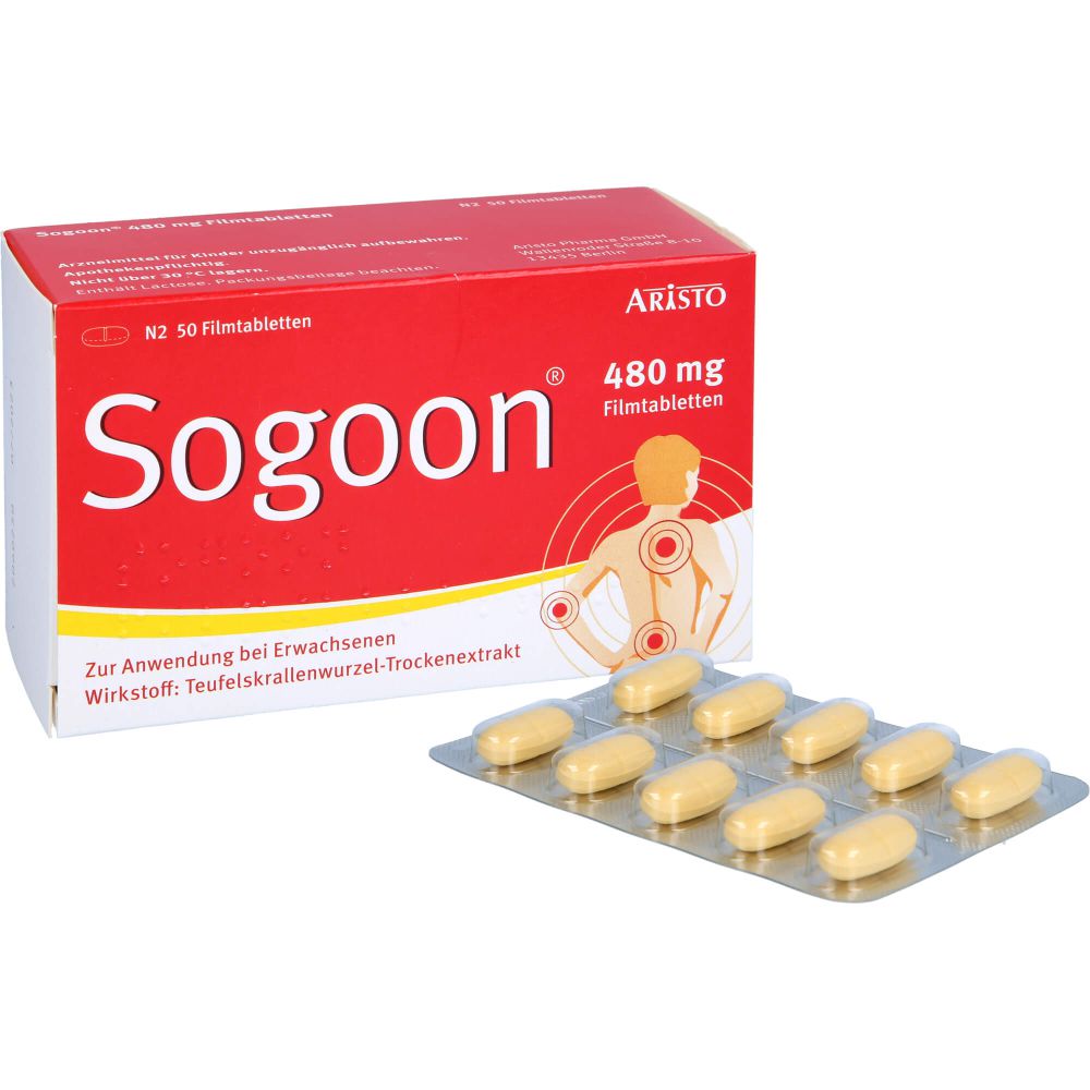 SOGOON 480 mg Filmtabletten