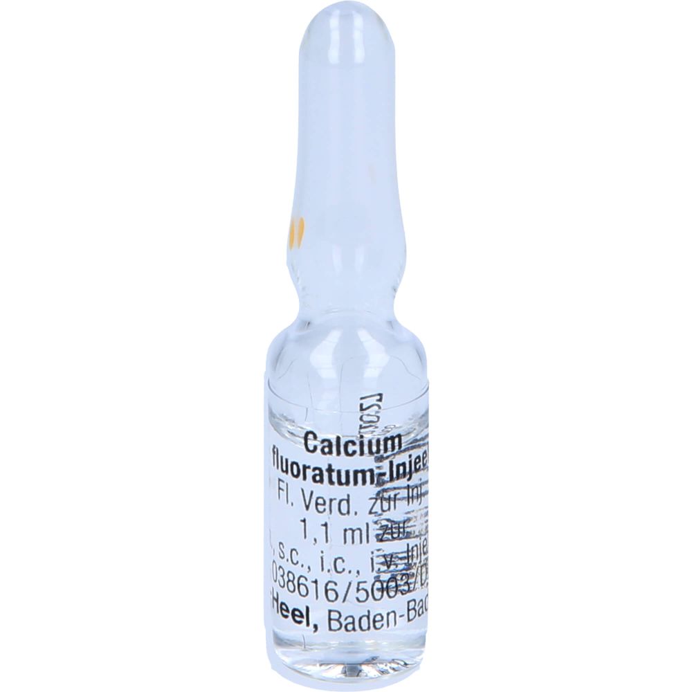 CALCIUM FLUORATUM INJEEL Ampullen