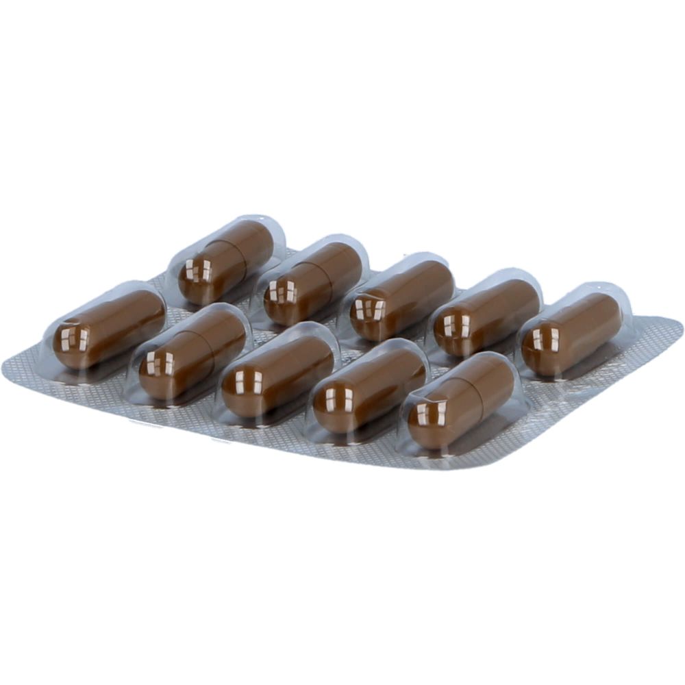 ESSENTIALE Kapseln 300 mg