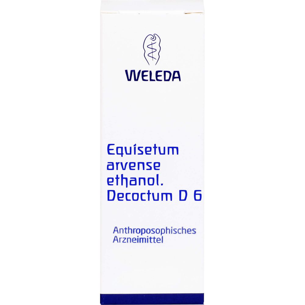 EQUISETUM ARVENSE ethanol.Decoctum D 6 Dilution