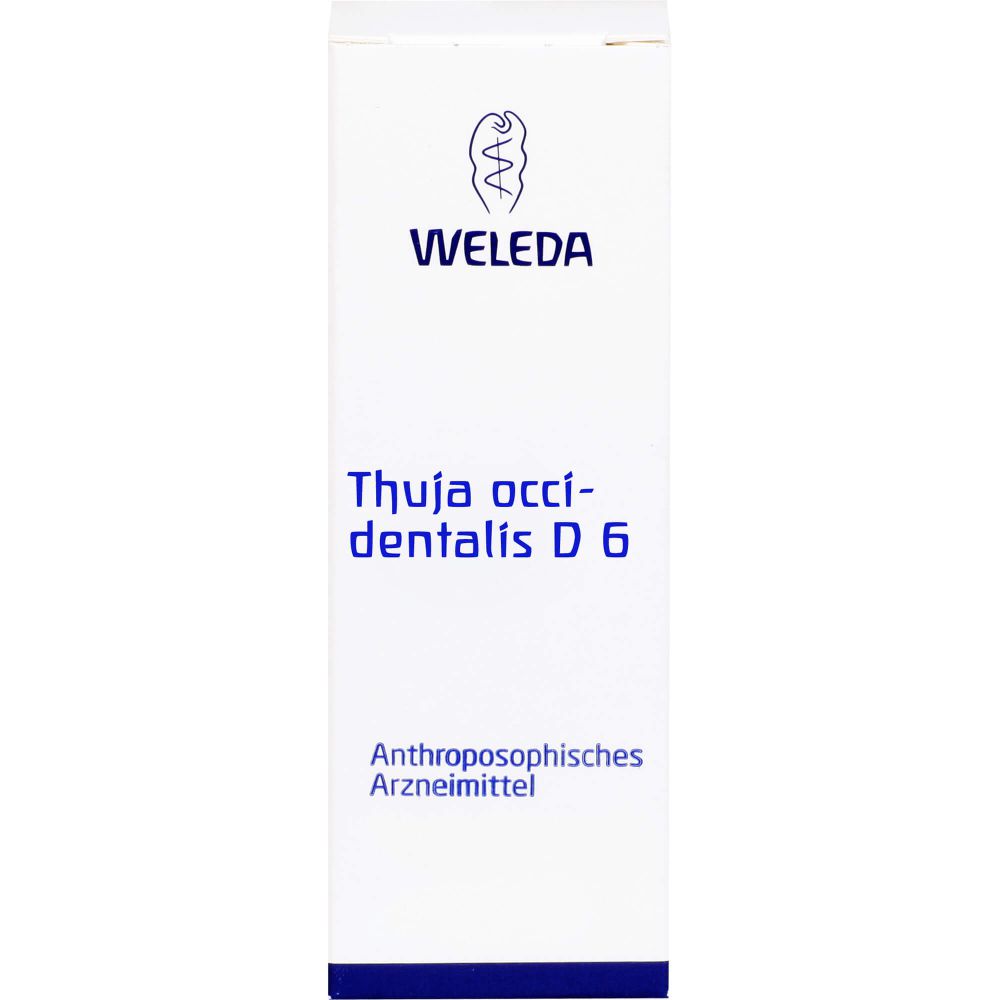 THUJA OCCIDENTALIS D 6 Dilution