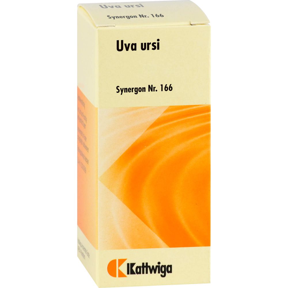 SYNERGON KOMPLEX 166 Uva ursi Tropfen