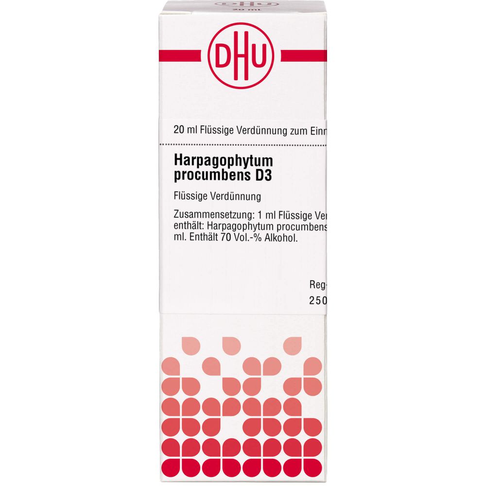 HARPAGOPHYTUM PROCUMBENS D 3 Dilution