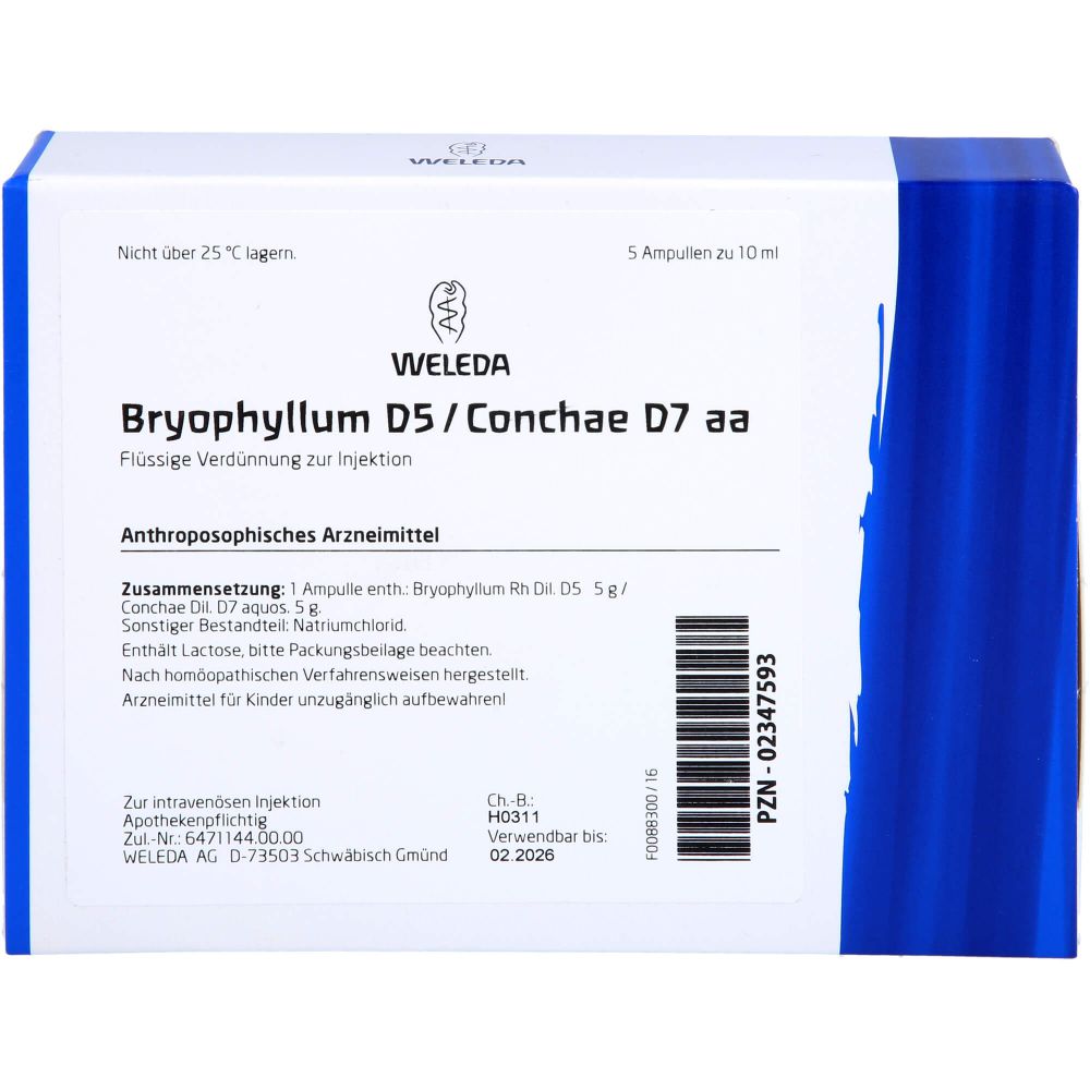 BRYOPHYLLUM D 5/Conchae D 7 Ampullen