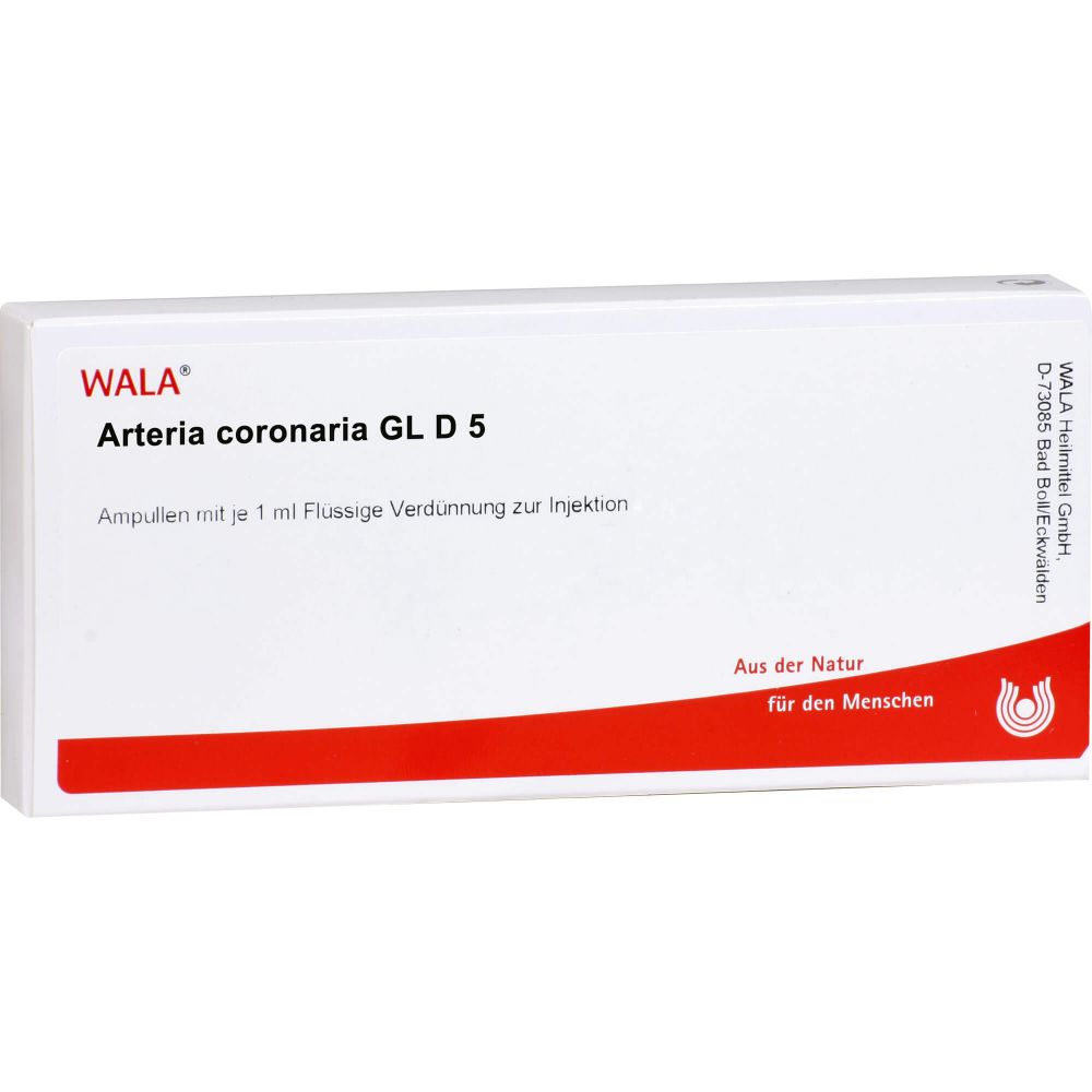 ARTERIA CORONARIA GL D 5 Ampullen