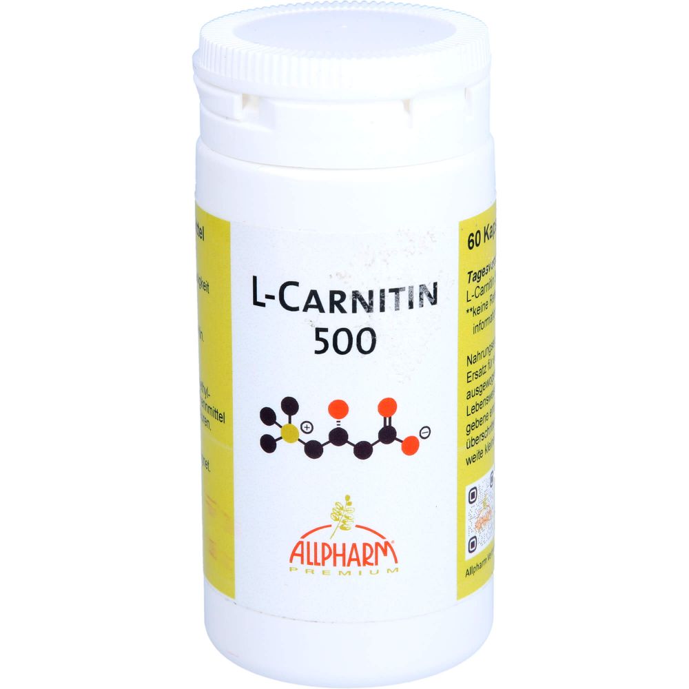 L-CARNITIN 500 mg Kapseln