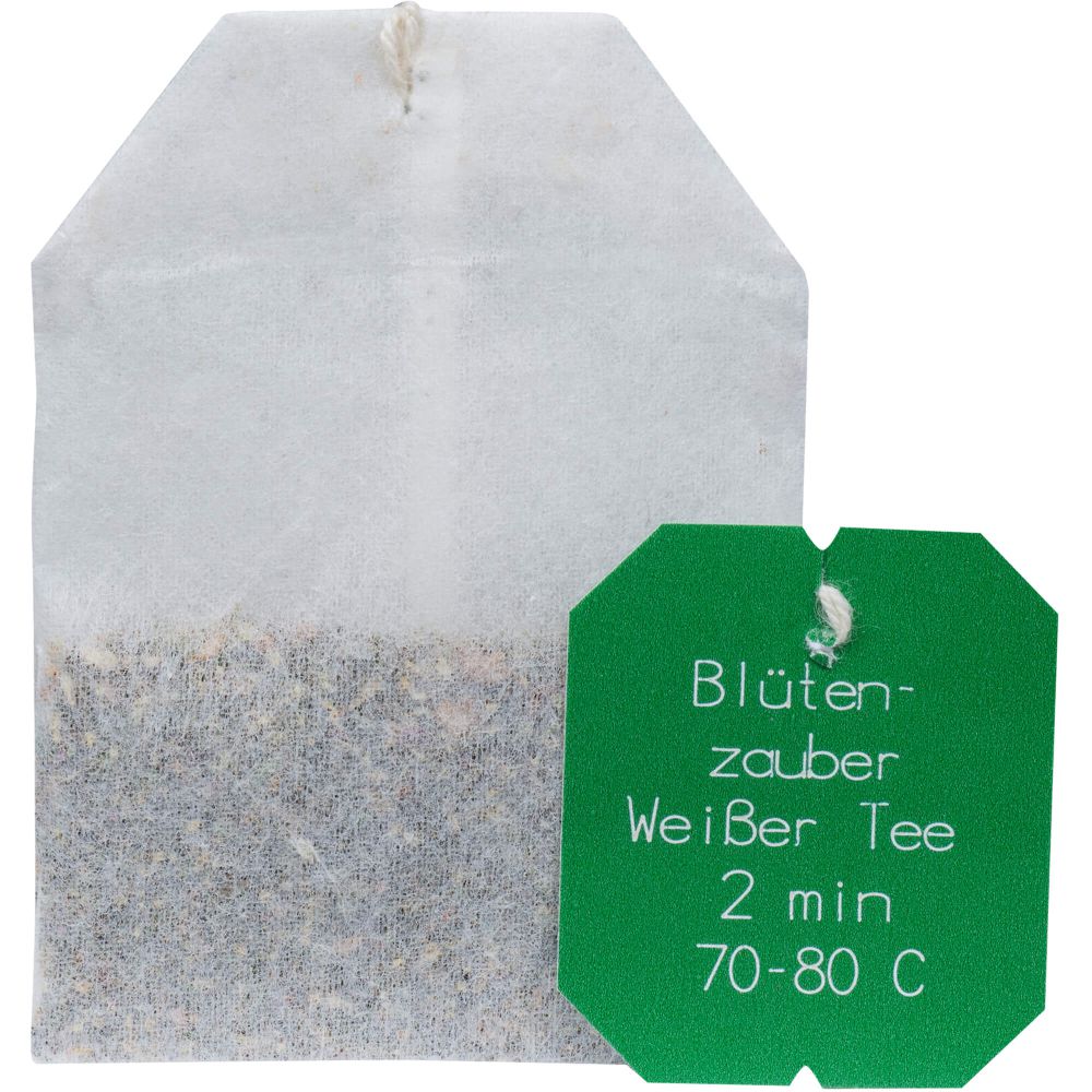 WEISSER TEE Blütenzauber Bio Salus Filterbeutel