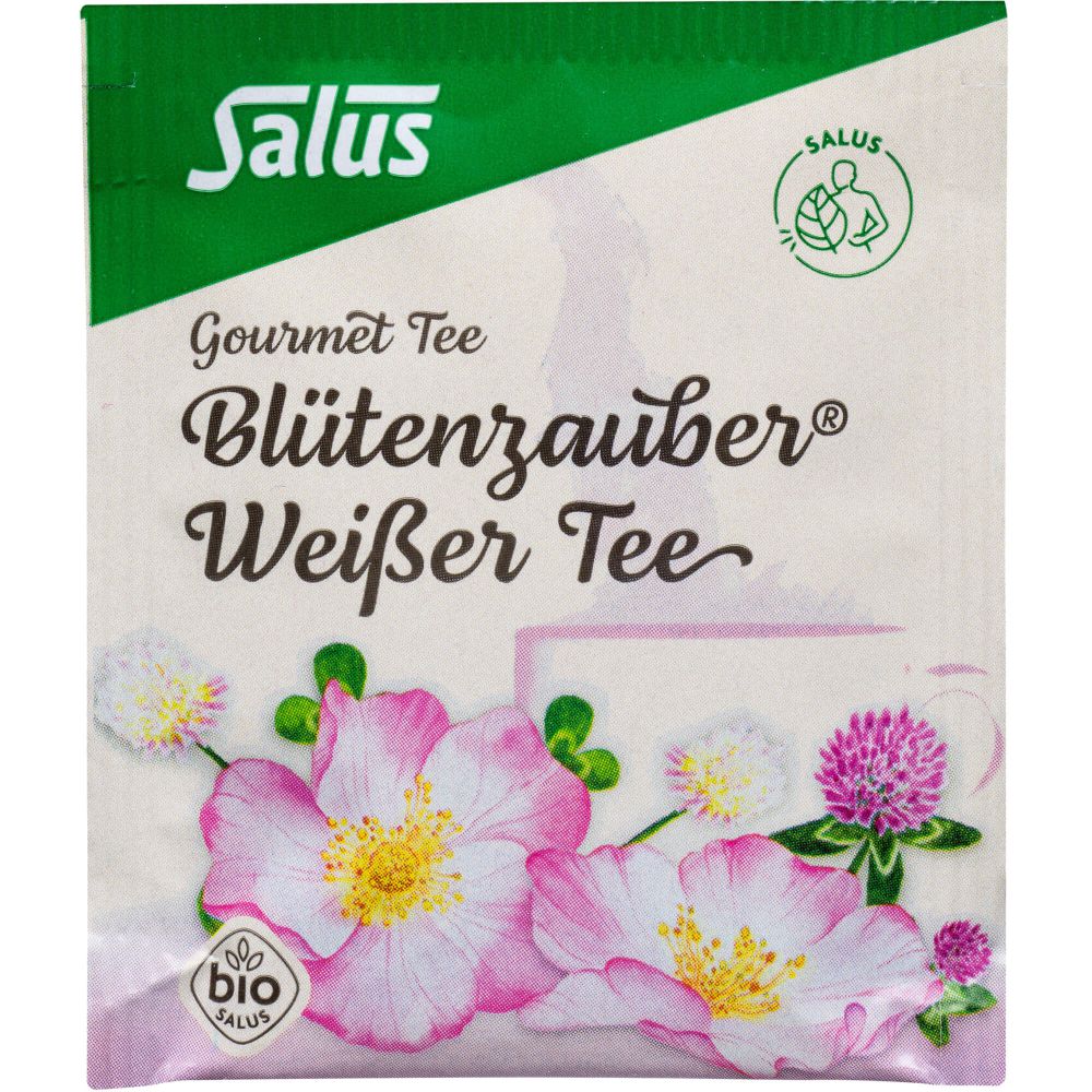 WEISSER TEE Blütenzauber Bio Salus Filterbeutel