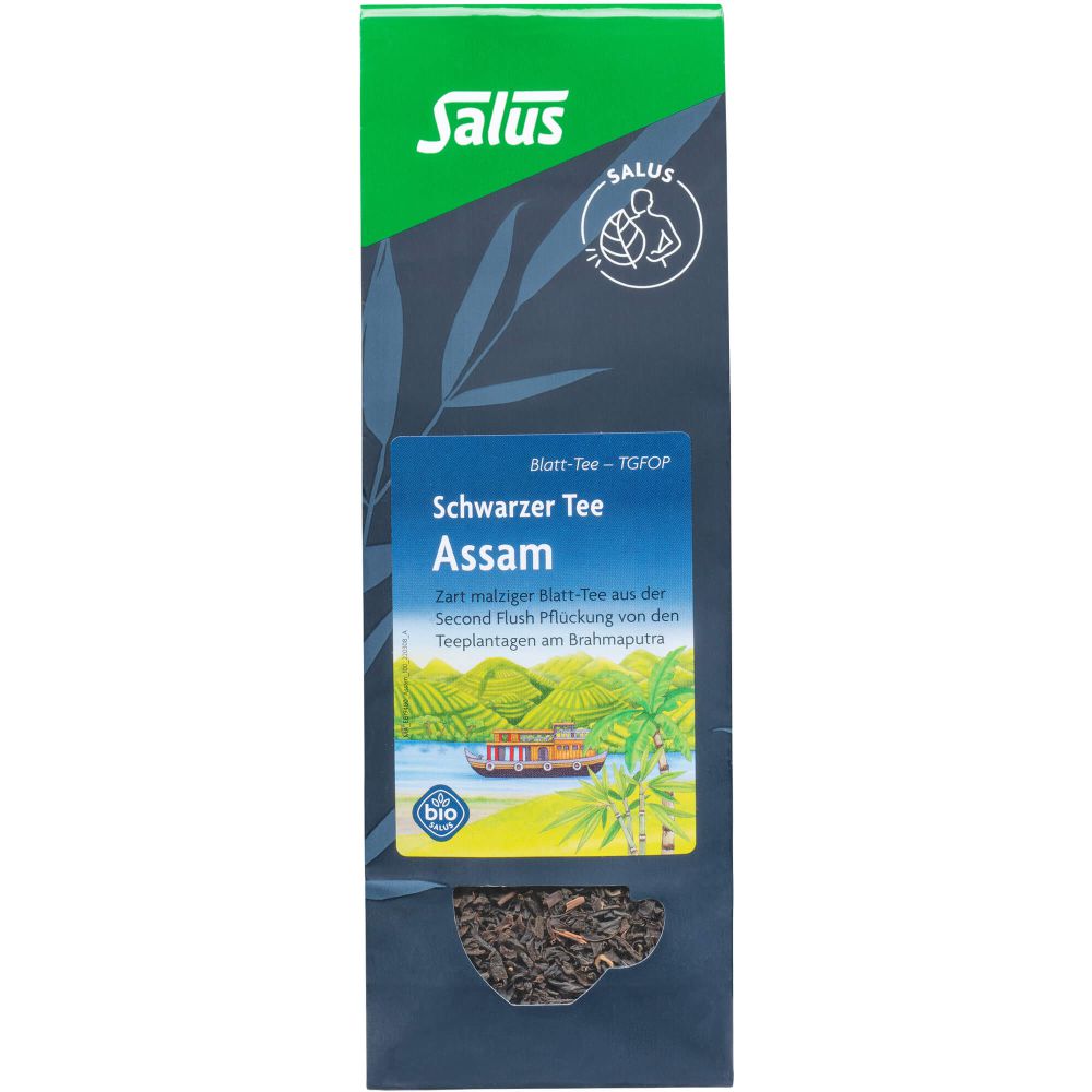 Assam schwarzer Tee Blatt-Tee Tgfop Bio Salus 100 g