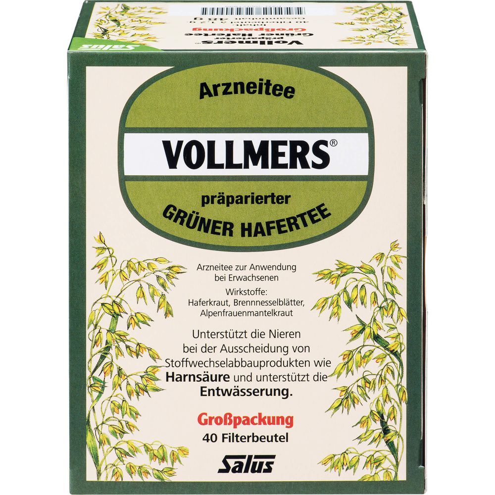 VOLLMERS präparierter grüner Hafertee Filterbeutel