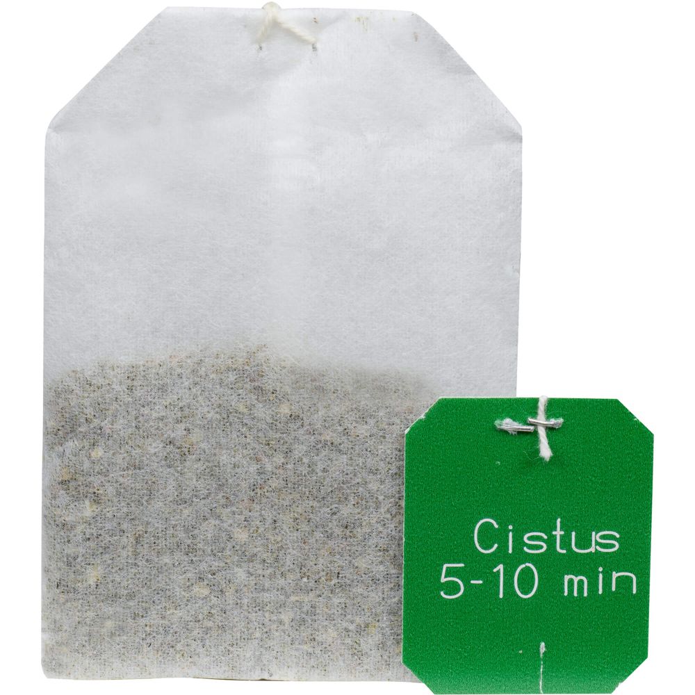 CISTUS KRÄUTERTEE Bio Salus Filterbeutel