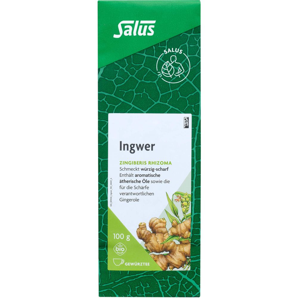 INGWER GEWÜRZTEE Zingiber officinale Bio Salus