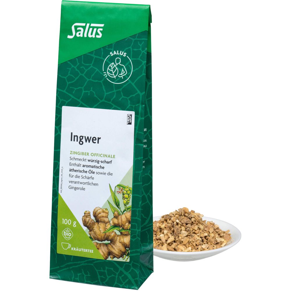 INGWER GEWÜRZTEE Zingiber officinale Bio Salus