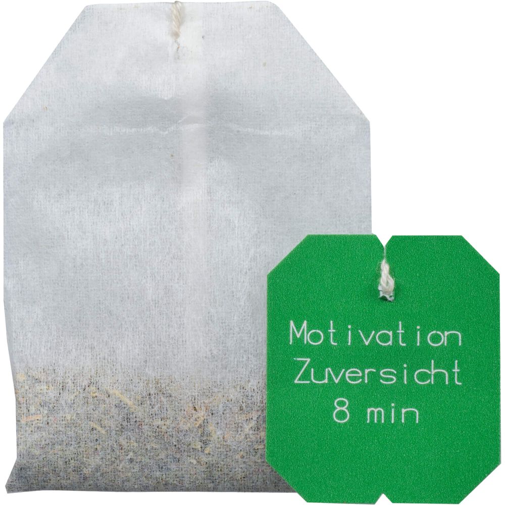 BACHBLÜTEN TEE Motivation&Zuversicht Bio Salus Fbt