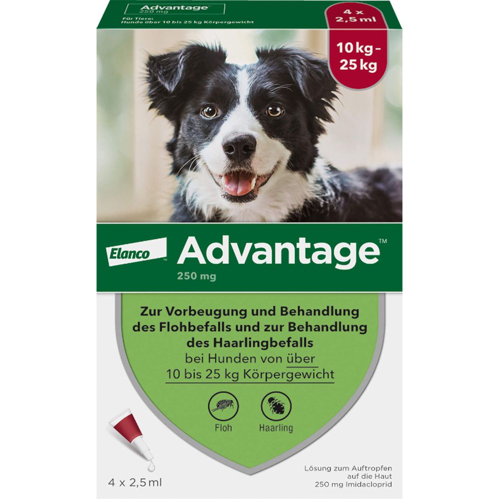 ADVANTAGE 250 Lösung f.Hunde 10-25 kg