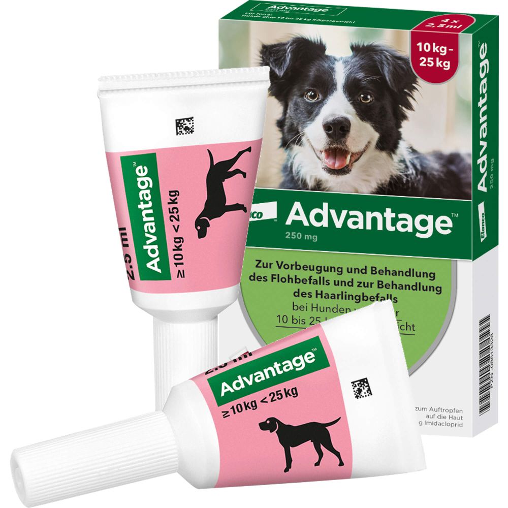 ADVANTAGE 250 Lösung f.Hunde 10-25 kg