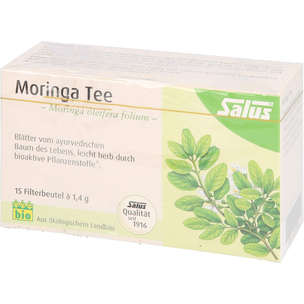 MORINGA TEE Bio Moringa oleifera folium Salus Fbtl