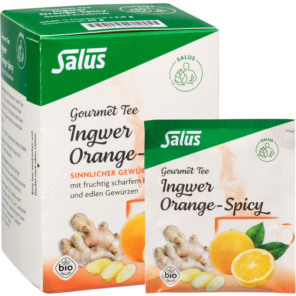 INGWER ORANGE Spicy Tee Salus Filterbeutel