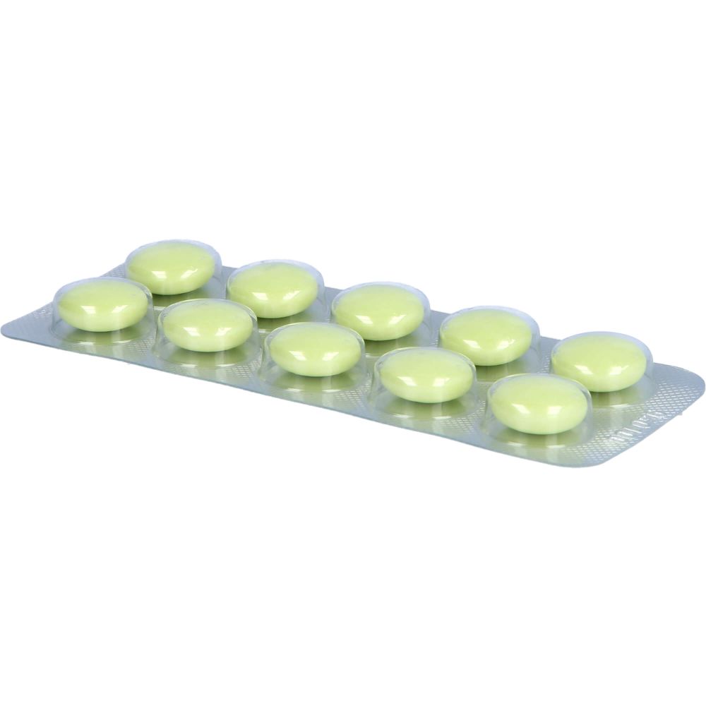 Silymarcur überzogene Tabletten 100 St 100 St