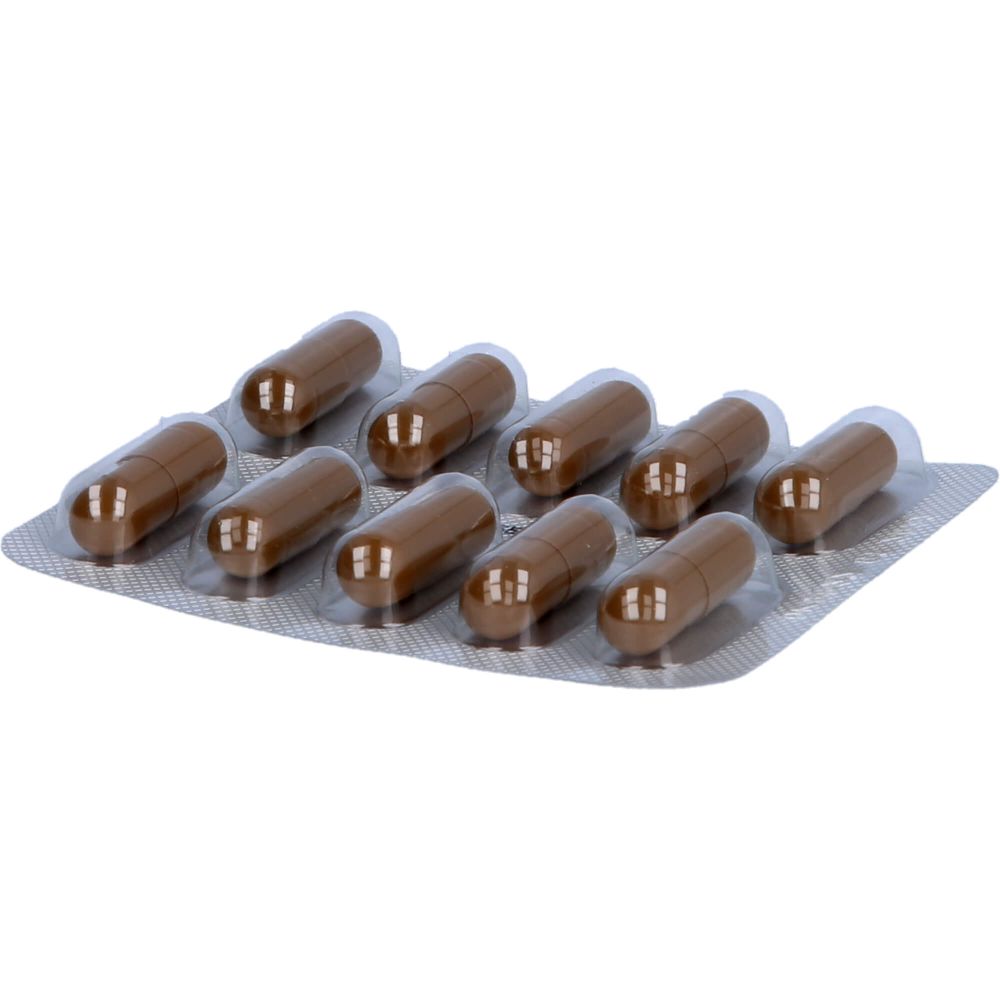 Essentiale Kapseln 300 mg 250 St