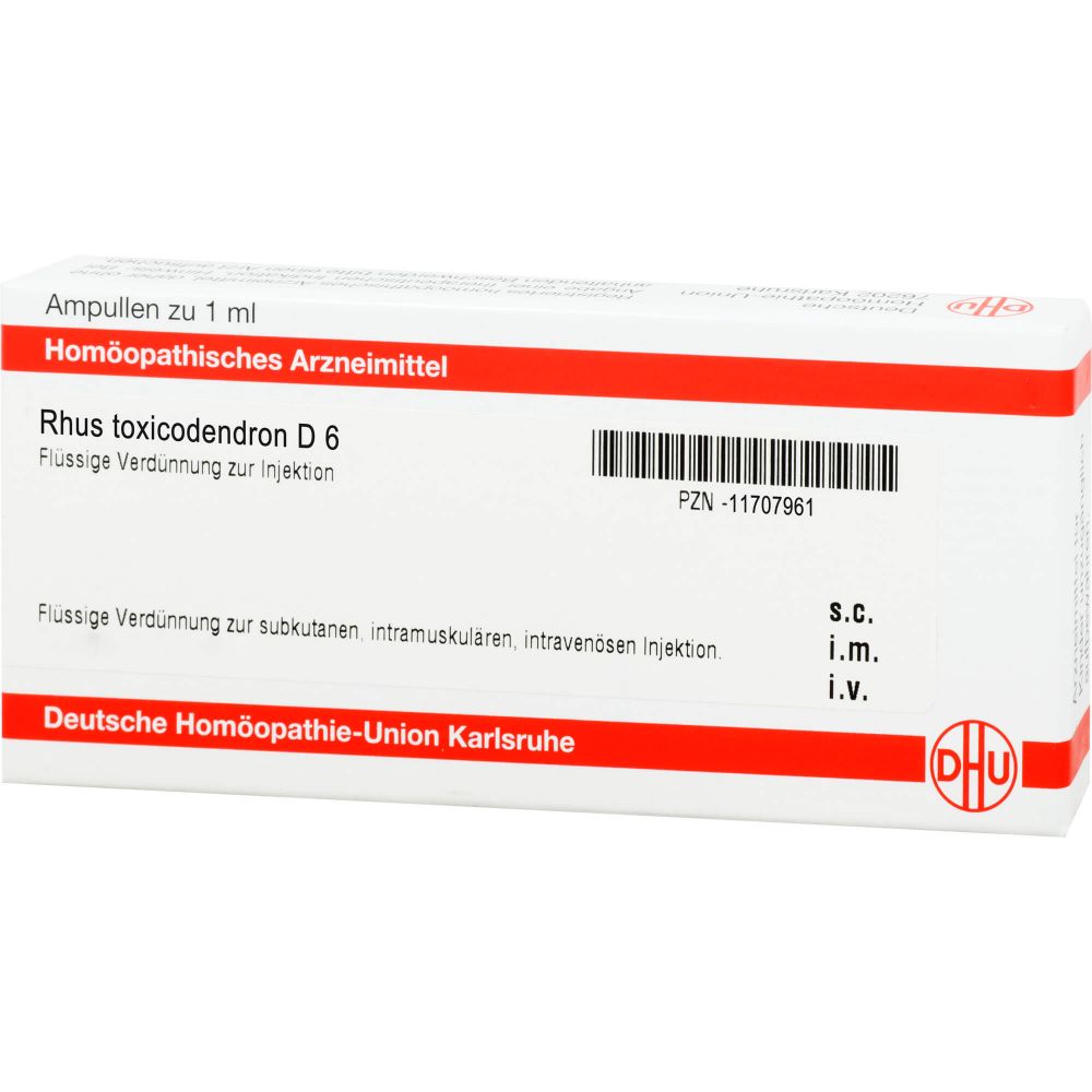 Rhus Toxicodendron D 6 Ampullen 8 ml 8 ml