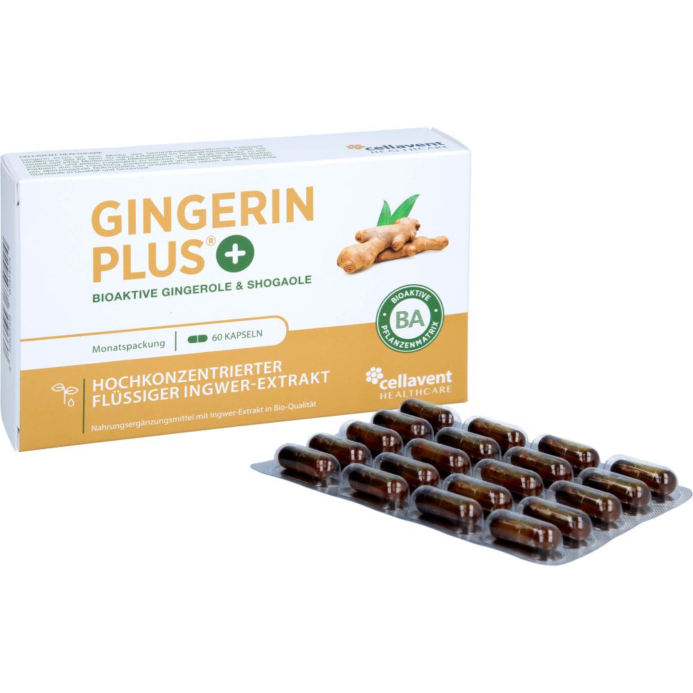 GINGERIN PLUS Kapseln