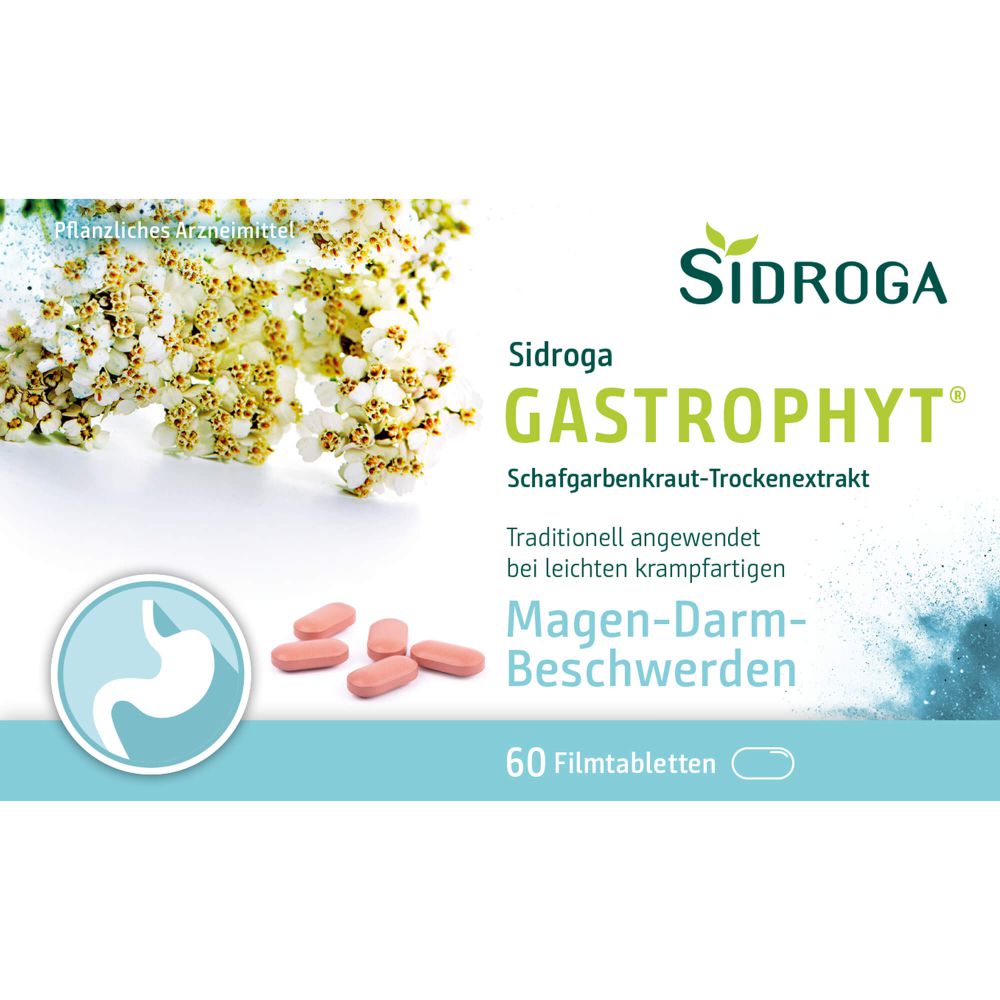 Sidroga GastroPhyt 250 mg Filmtabletten 60 St