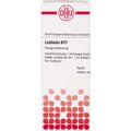 LACHESIS D 17 Dilution