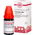 LM COLOCYNTHIS III Dilution