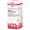 NATRIUM SULFURICUM LM III Dilution