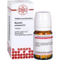 MYOSOTIS ARVENSIS D 2 Tabletten