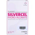 SILVERCEL Hydroalginat Verband 5x5 cm