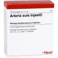 ARTERIA SUIS Injeel Ampullen