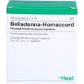 BELLADONNA HOMACCORD Ampullen