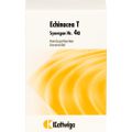 SYNERGON 4 a Echinacea T Tabletten