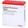 CALCIUM FLUORATUM INJEEL Ampullen