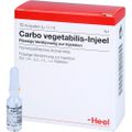 CARBO VEGETABILIS INJEEL Ampullen