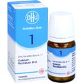 BIOCHEMIE DHU 1 Calcium fluorat.D 12 Tabletten