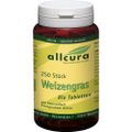 WEIZENGRAS TABLETTEN Bio