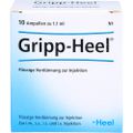 GRIPP-HEEL Ampullen