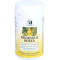 RHODIOLA ROSEA Kapseln 200 mg