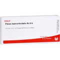 PLEXUS HAEMORRHOIDALIS GL D 6 Ampullen