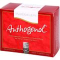 OPC ORIGINAL Masqueliers Anthogenol Kapseln