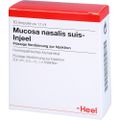 MUCOSA nasalis suis Injeel Ampullen