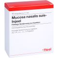 MUCOSA nasalis suis Injeel Ampullen