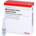 MUSCULUS SUIS Injeel forte Ampullen