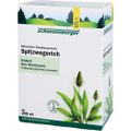 SPITZWEGERICH SCHOENENB