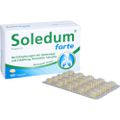 SOLEDUM Kapseln forte 200 mg