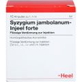 SYZYGIUM JAMBOLANUM INJEEL forte Ampullen