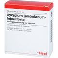 SYZYGIUM JAMBOLANUM INJEEL forte Ampullen